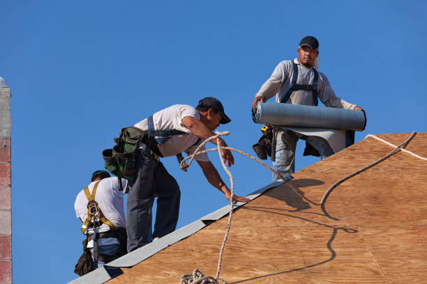 Best Best Roofing Contractors  in Riceville, TN