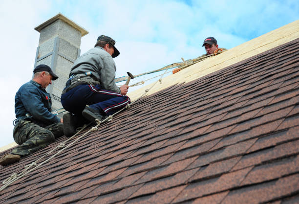 Best Commercial Roofing Services  in Riceville, TN